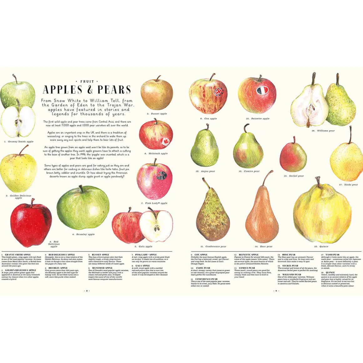 Feast Your Eyes on Food: A Food Encyclopaedia of More Than 1000 Things to Eat by Laura Gladwin and Zoe Barker