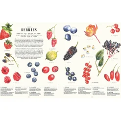 Feast Your Eyes on Food: A Food Encyclopaedia of More Than 1000 Things to Eat by Laura Gladwin and Zoe Barker
