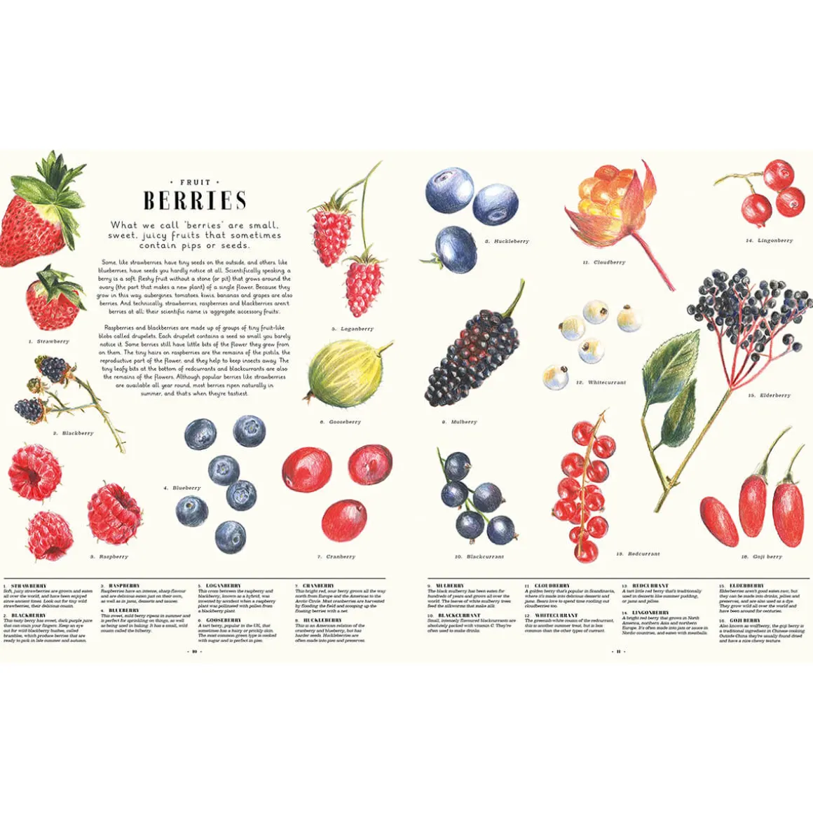 Feast Your Eyes on Food: A Food Encyclopaedia of More Than 1000 Things to Eat by Laura Gladwin and Zoe Barker