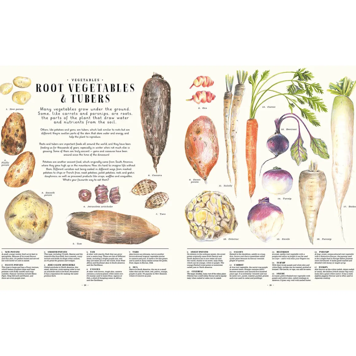 Feast Your Eyes on Food: A Food Encyclopaedia of More Than 1000 Things to Eat by Laura Gladwin and Zoe Barker