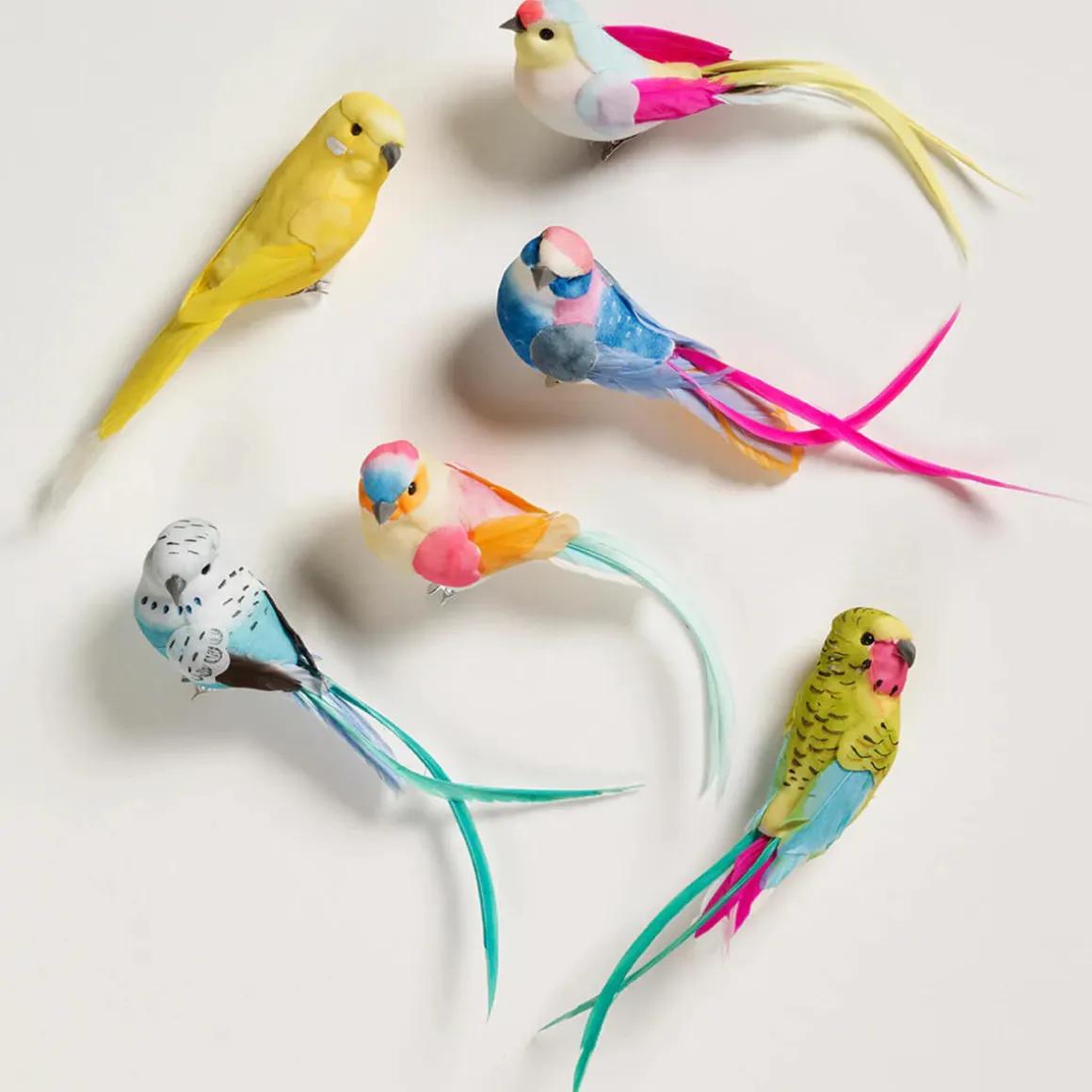 Feather Bird Clip (Various Colours) by Petra Boase