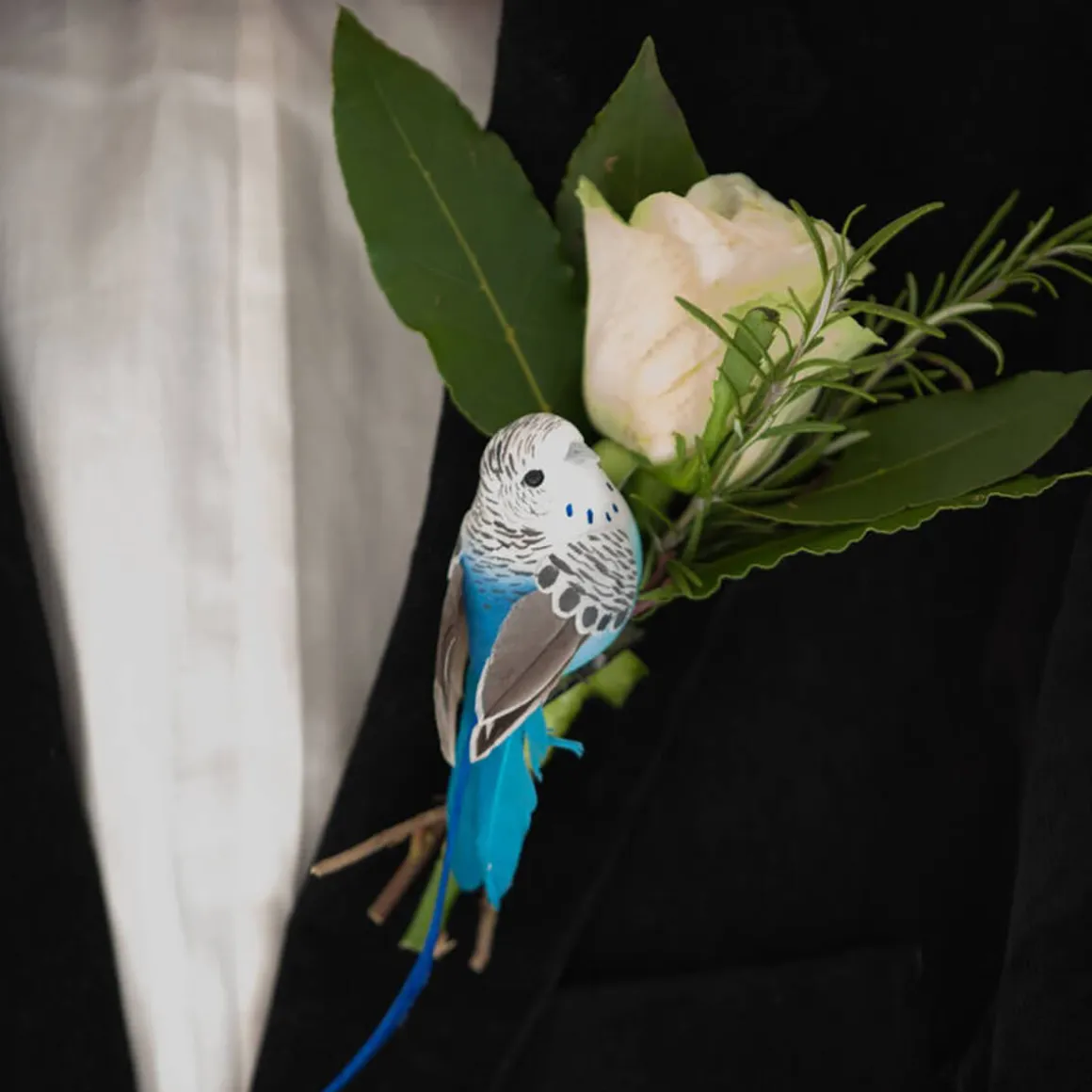Feather Bird Clip (Various Colours) by Petra Boase