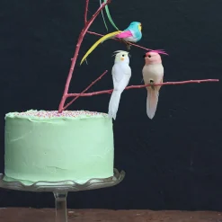 Feather Bird Clip (Various Colours) by Petra Boase