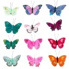 Feather Butterfly Clip (Various Colours) by Petra Boase