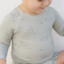 Finn Rashguard + Short Set in Dino by Quincy Mae