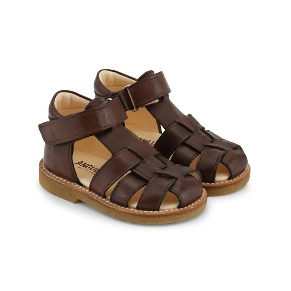 Fisherman Toddler Sandals in Angulus Brown by Angulus - Last One In Stock - 22 EUR