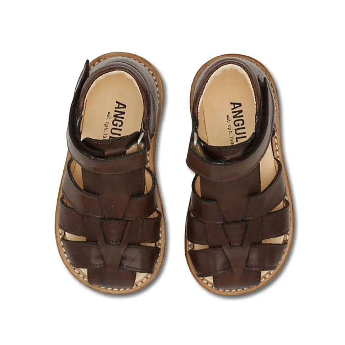 Fisherman Toddler Sandals in Angulus Brown by Angulus - Last One In Stock - 22 EUR
