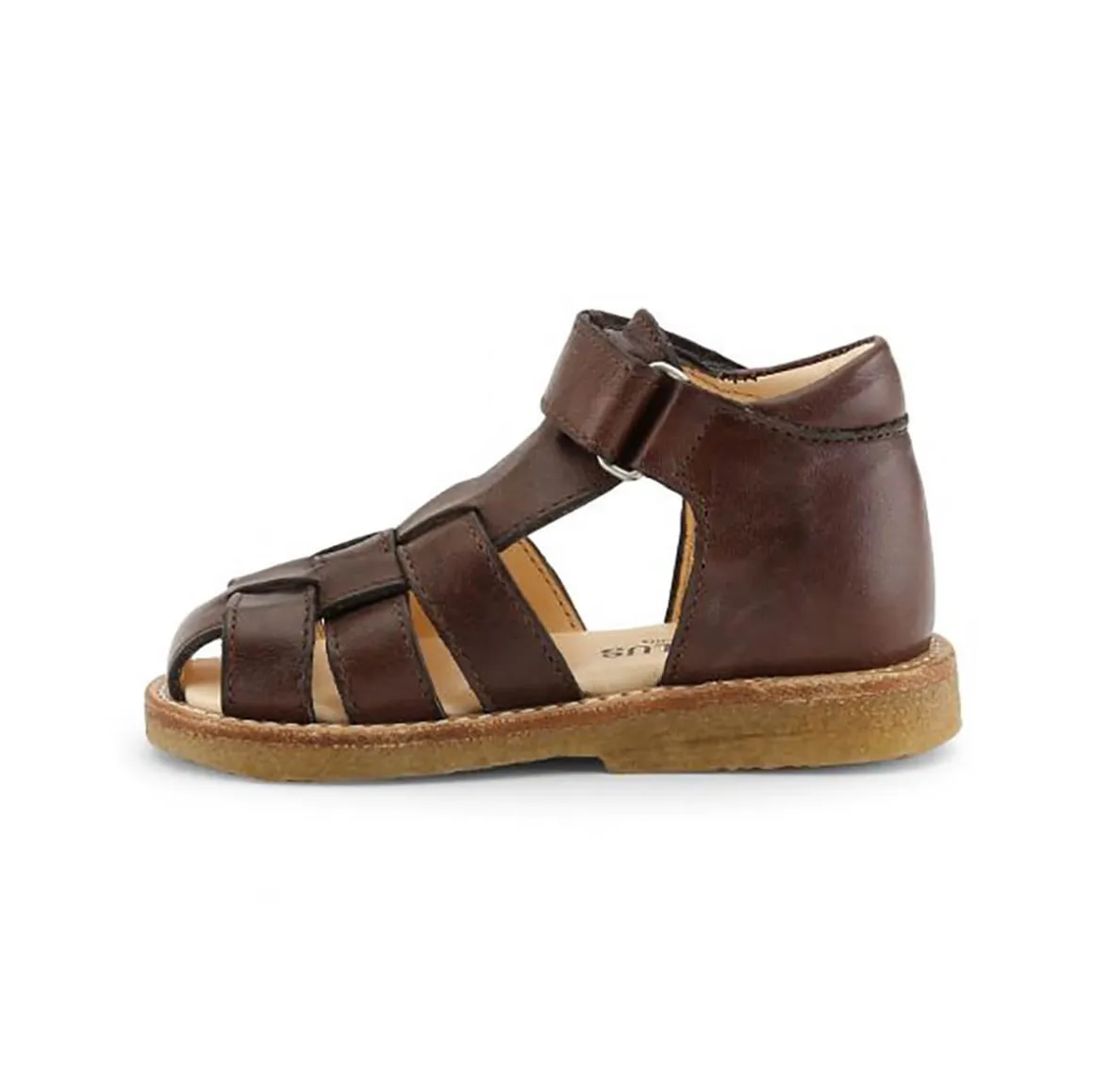 Fisherman Toddler Sandals in Angulus Brown by Angulus - Last One In Stock - 22 EUR