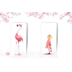 Flora And The Flamingo by Molly Idle
