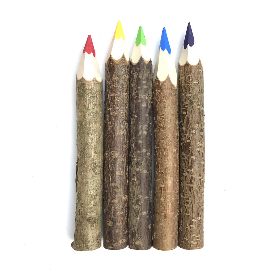 Giant Coloured Twig Pencil by Grünspecht