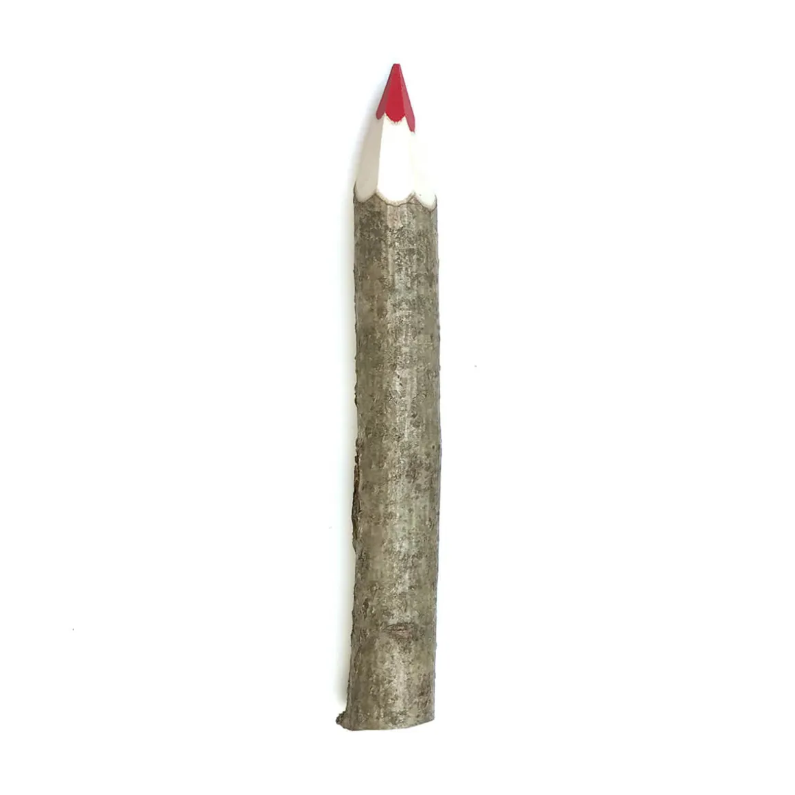 Giant Coloured Twig Pencil by Grünspecht