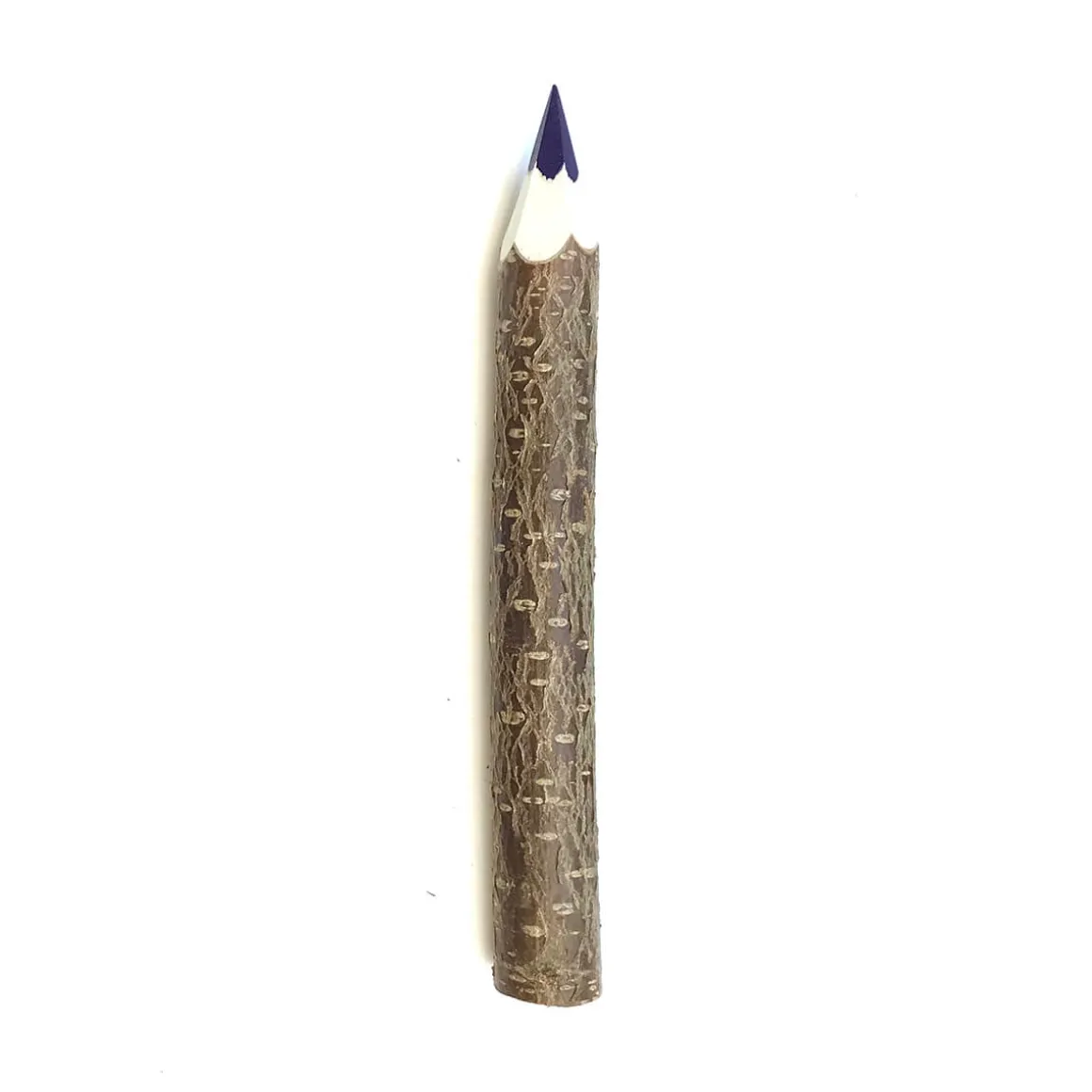 Giant Coloured Twig Pencil by Grünspecht
