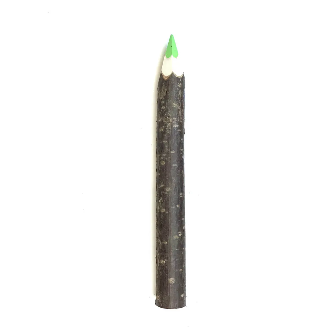 Giant Coloured Twig Pencil by Grünspecht