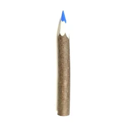 Giant Coloured Twig Pencil by Grünspecht
