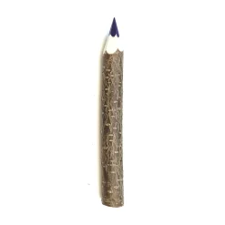 Giant Coloured Twig Pencil by Grünspecht