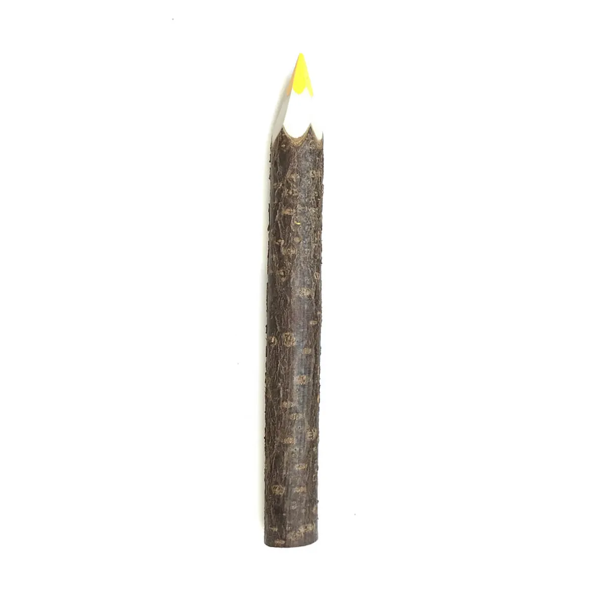 Giant Coloured Twig Pencil by Grünspecht