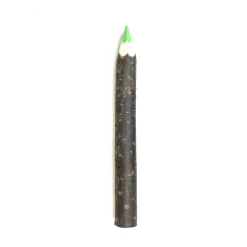 Giant Coloured Twig Pencil by Grünspecht