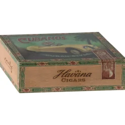 Grandma and Grandpa Mice in Cigarbox by Maileg