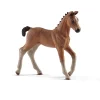 Hanoverian Foal by Schleich