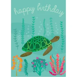 Happy Birthday Turtle Greetings Card by Elena Essex for Earlybird Designs