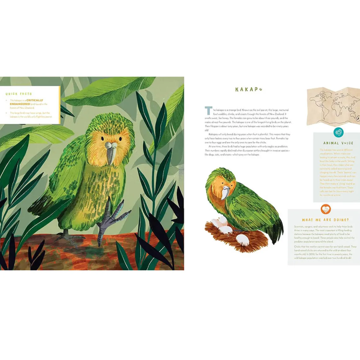 Hear Them Roar Sound Book by June Smalls & Becky Thorns