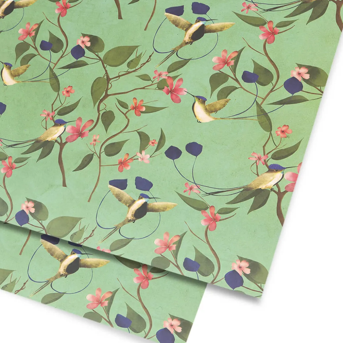 Hummingbird Gift Wrap by Carrie May for Lagom Design