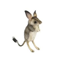 Jerboa (19cm) by Hansa