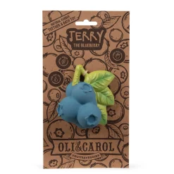 Jerry the Blueberry by Oli & Carol