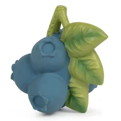 Jerry the Blueberry by Oli & Carol