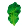 Kendall The Kale Teether by Oli & Carol