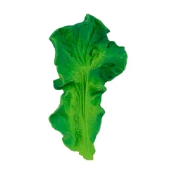 Kendall The Kale Teether by Oli & Carol