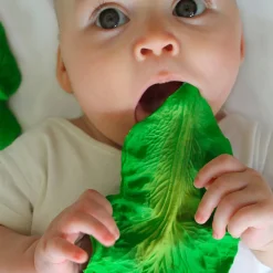Kendall The Kale Teether by Oli & Carol