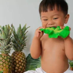 Kendall The Kale Teether by Oli & Carol