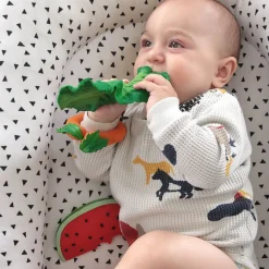 Kendall The Kale Teether by Oli & Carol