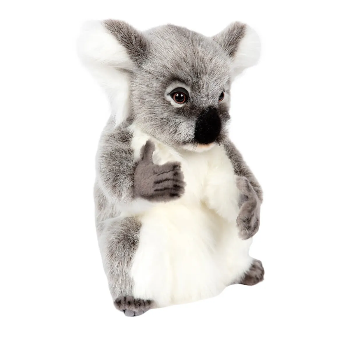 Koala (32cm) by Hansa
