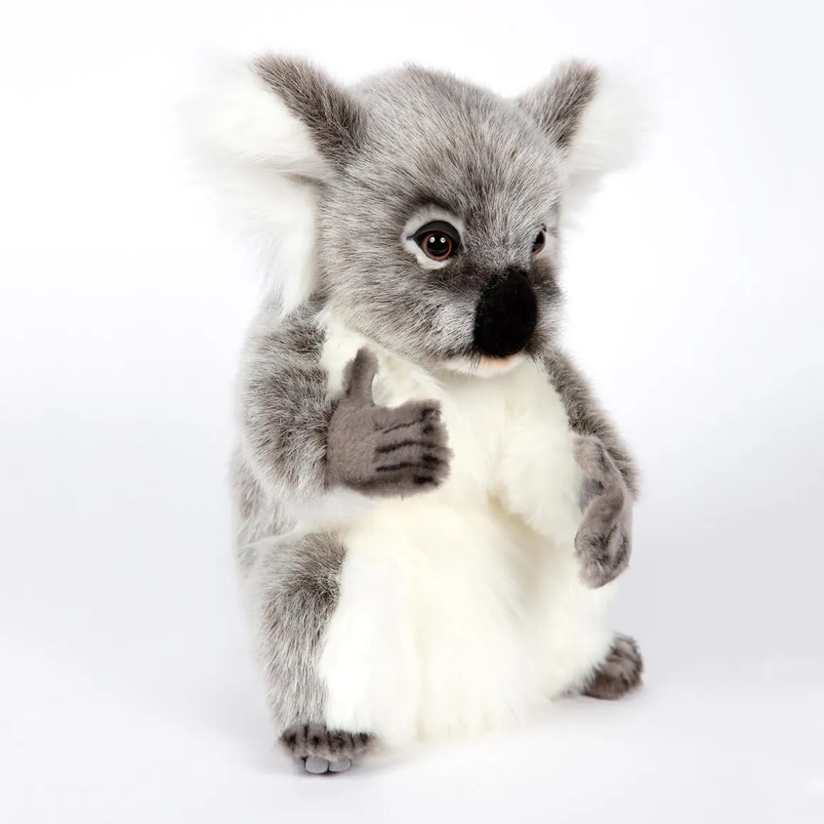 Koala (32cm) by Hansa