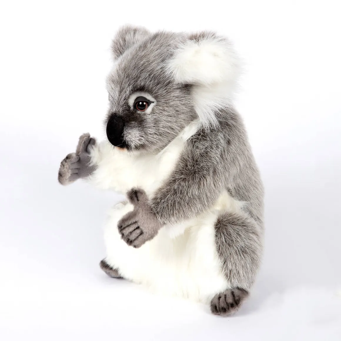 Koala (32cm) by Hansa