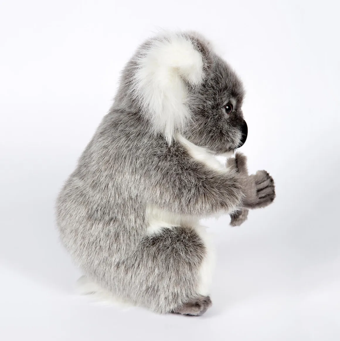 Koala (32cm) by Hansa
