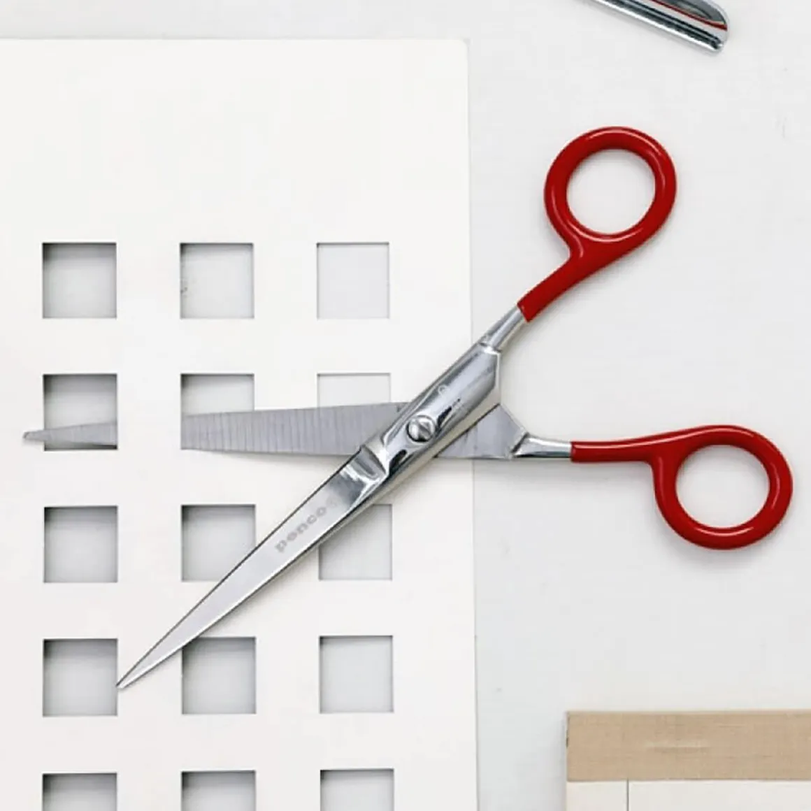 Large Stainless Steel Scissors (Various Colours) by Hightide Penco