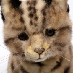 Leopard Cat Shihu (55cm) by Hansa