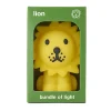 Lion Bundle Of Light by Mr Maria