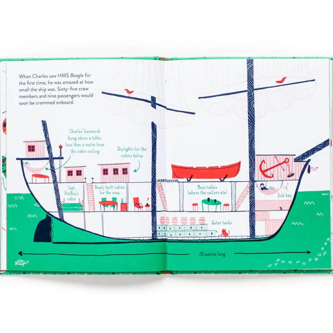 Little Guides To Great Lives: Charles Darwin by Isabel Thomas & Rachel Katstaller
