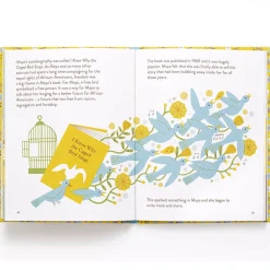 Little Guides To Great Lives: Maya Angelou by Danielle Jawando & Noa Snir