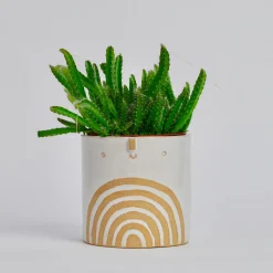 Medium Pot with Drainage Hole in White / Rainbow by Atelier Stella