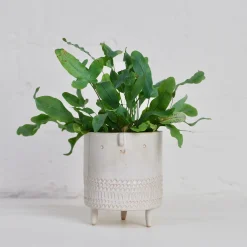 Medium Tripod Planter Pot in White Stamped by Atelier Stella