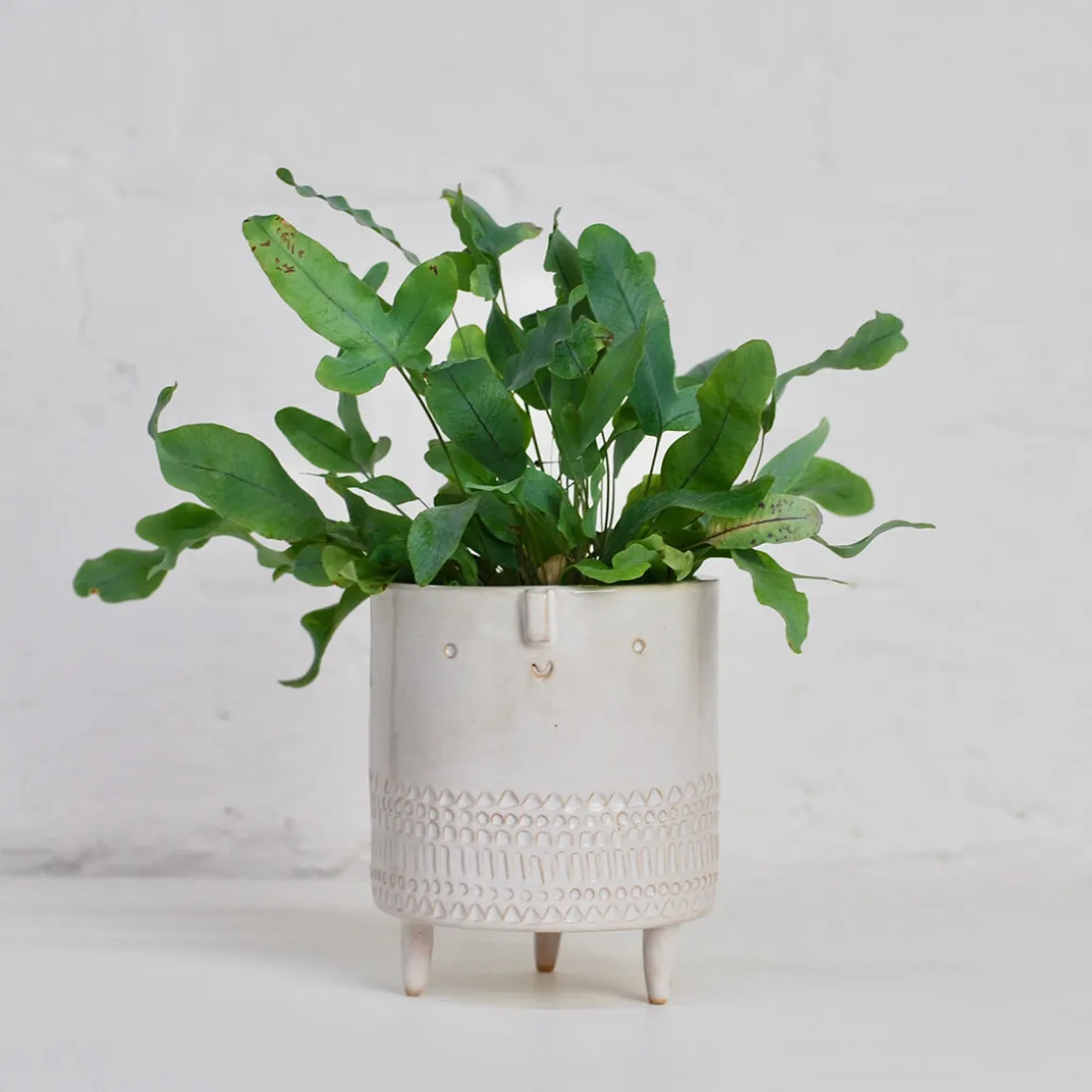 Medium Tripod Planter Pot in White Stamped by Atelier Stella