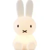 Miffy First Light by Mr Maria