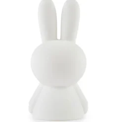 Miffy First Light by Mr Maria