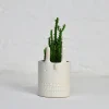 Mini Rabbit Pot in White by Atelier Stella