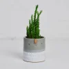 Mini Succulent Pot in Blue-Grey / White Stamped by Atelier Stella